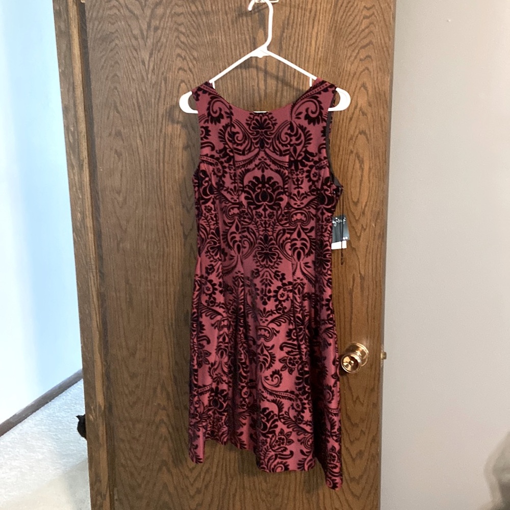 Burgundy dress with velvet detailing all over. Never worn.